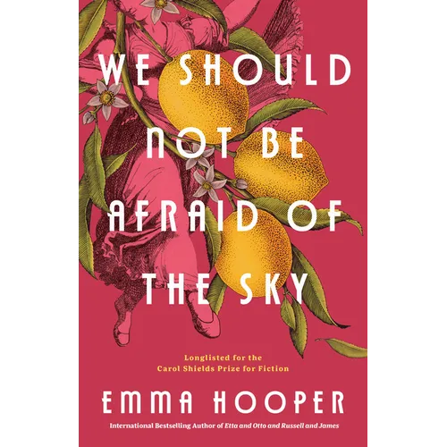 We Should Not Be Afraid of the Sky - Paperback