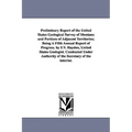 Preliminary Report of the United States Geological Survey of Montana and Portions of Adjacent Territories; Being a Fifth Annual Report of Progress. by - Paperback