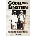 Godel Meets Einstein: Time Travel in the Godel Universe - Paperback