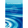 Watermark: An Explanation of Baptism - Paperback