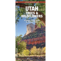 Utah Trees & Wildflowers: A Folding Pocket Guide to Familiar Plants - Paperback