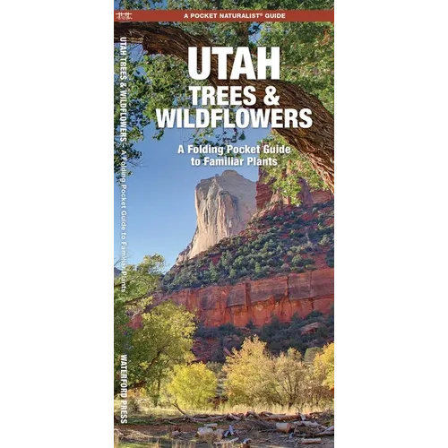 Utah Trees & Wildflowers: A Folding Pocket Guide to Familiar Plants - Paperback