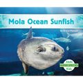 Mola Ocean Sunfish - Library Binding