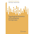Topological Dynamics of Enveloping Semigroups - Paperback
