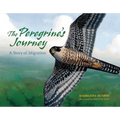 The Peregrine's Journey: A Story of Migration - Paperback