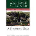 A Shooting Star - Paperback