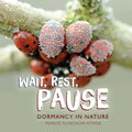 Wait, Rest, Pause: Dormancy in Nature - Library Binding