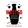 Wasted: An Alcoholic Therapist's Fight for Recovery in a Flawed Treatment System - Paperback