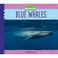Blue Whales - Library Binding