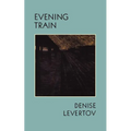 Evening Train: Poetry - Paperback