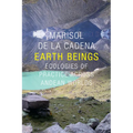 Earth Beings: Ecologies of Practice Across Andean Worlds - Paperback