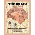 The Brain; Student text - Paperback