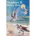 Seashore and Wading Birds of Florida - Paperback