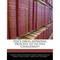 FDA's Drug Approval Process: Up to the Challenge? - Paperback
