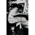Prospect Avenue: Border City Blues - Paperback