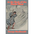 At the Back of the North Wind - Paperback