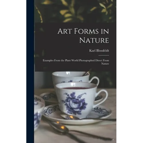 Art Forms in Nature: Examples From the Plant World Photographed Direct From Nature - Hardcover