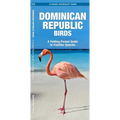 Dominican Republic Birds: A Folding Pocket Guide to Familiar Species
