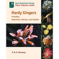 Hardy Gingers: Including Hedychium, Roscoea, and Zingiber - Paperback