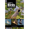 A Guide to Birds of San Juan Island - Paperback