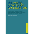Private Company Valuation: How Credit Risk Reshaped Equity Markets and Corporate Finance Valuation Tools - Paperback