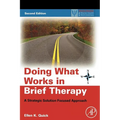 Doing What Works in Brief Therapy: A Strategic Solution Focused Approach - Paperback