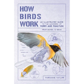 How Birds Work: An Illustrated Guide to the Wonders of Form and Function - From Bones to Beak - Paperback