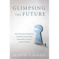Glimpsing the Future - Paperback