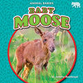Baby Moose - Paperback