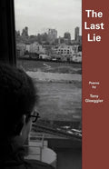 The Last Lie - Paperback