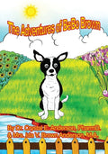 The Adventures of Bebo - Paperback