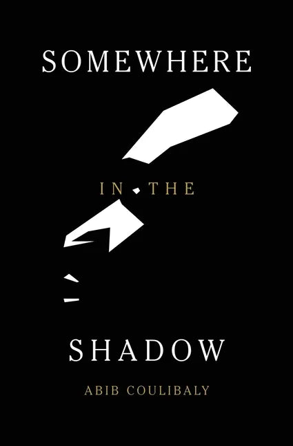 Somewhere in the Shadow - Paperback