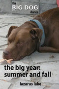 The Big Year - Summer and Fall - Paperback