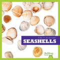 Seashells - Paperback