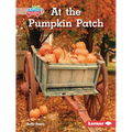 At the Pumpkin Patch - Library Binding