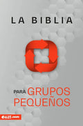 Biblia Para Grupos Pequeños - Nbv Rústica - Paperback