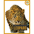 Leopard - Paperback