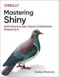 Mastering Shiny: Build Interactive Apps, Reports, and Dashboards Powered by R - Paperback