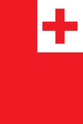 Tongan Dictionary: English To Tongan - Paperback