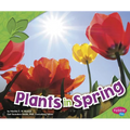 Plants in Spring - Paperback