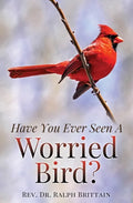 Have You Ever Seen A Worried Bird? - Paperback