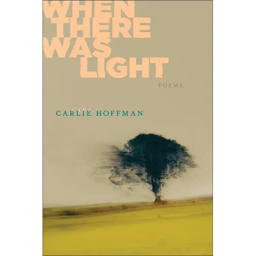 When There Was Light - Paperback