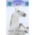 Lost Treasure (Jumping Into Danger Special #1) - Paperback