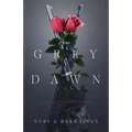 Grey Dawn: A Tale of Abolition and Union - Paperback