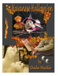 Havanese Hallowe'en - Paperback