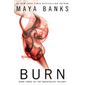 Burn - Paperback