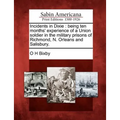 Incidents in Dixie: being ten months' experience of a Union soldier in the military prisons of Richmond, N. Orleans and Salisbury. - Paperback