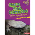 Chinese Giant Salamanders: Nature's Biggest Amphibian - Paperback