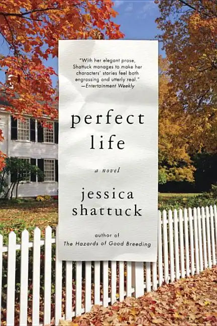 Perfect Life - Paperback