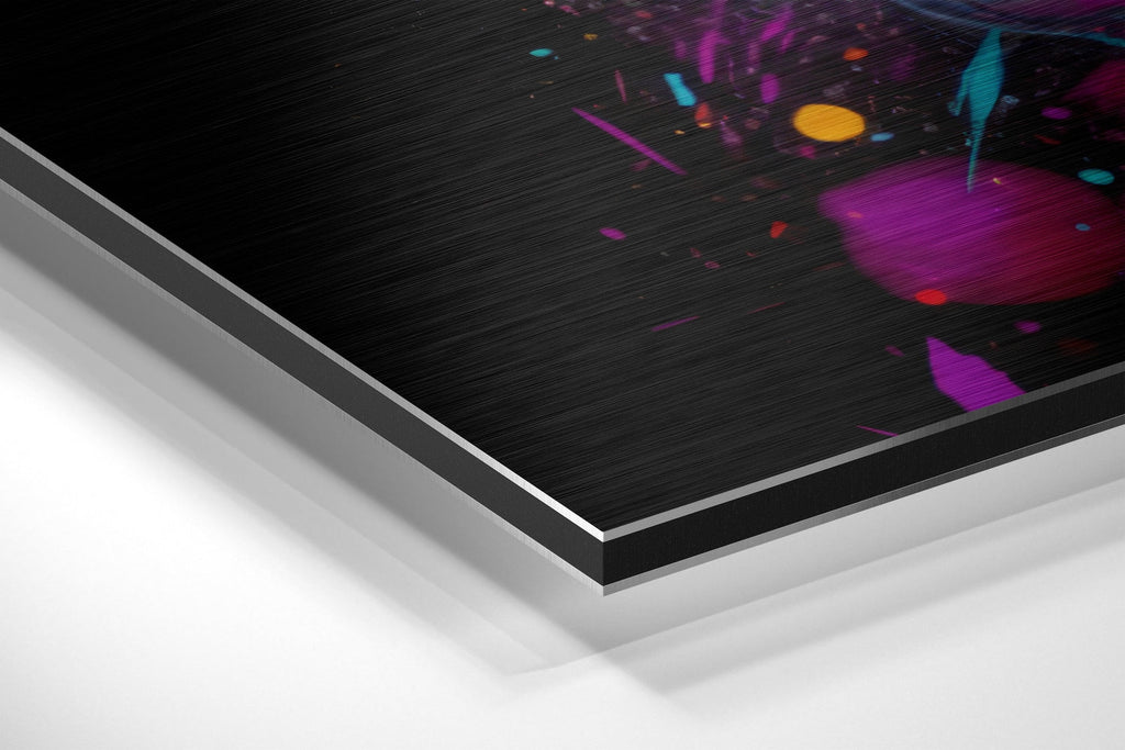 Einstein Brushed Aluminum Dibond Wall Art